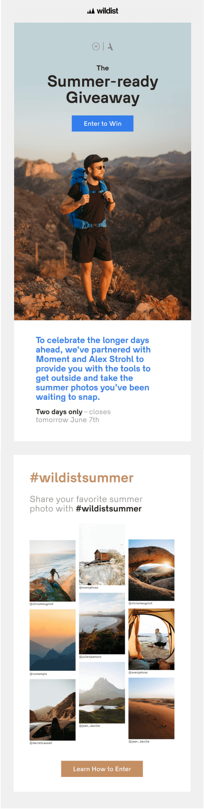 wildist_summer_newsletter_example