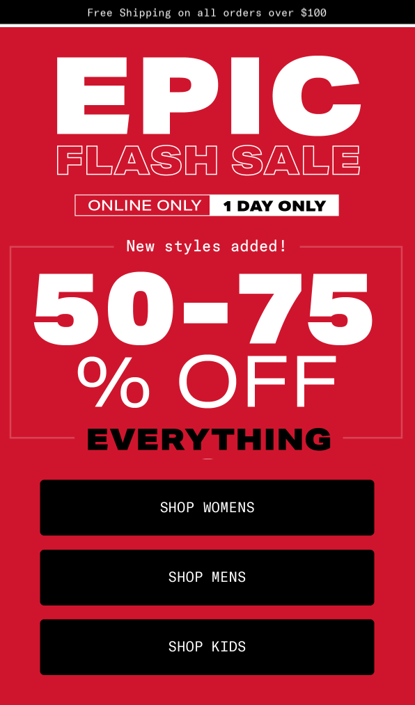 10 Flash Sale Email Examples & Subject Lines