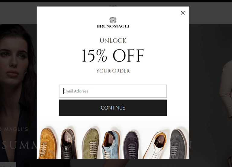20 Newsletter Popup Design Examples That Inspire