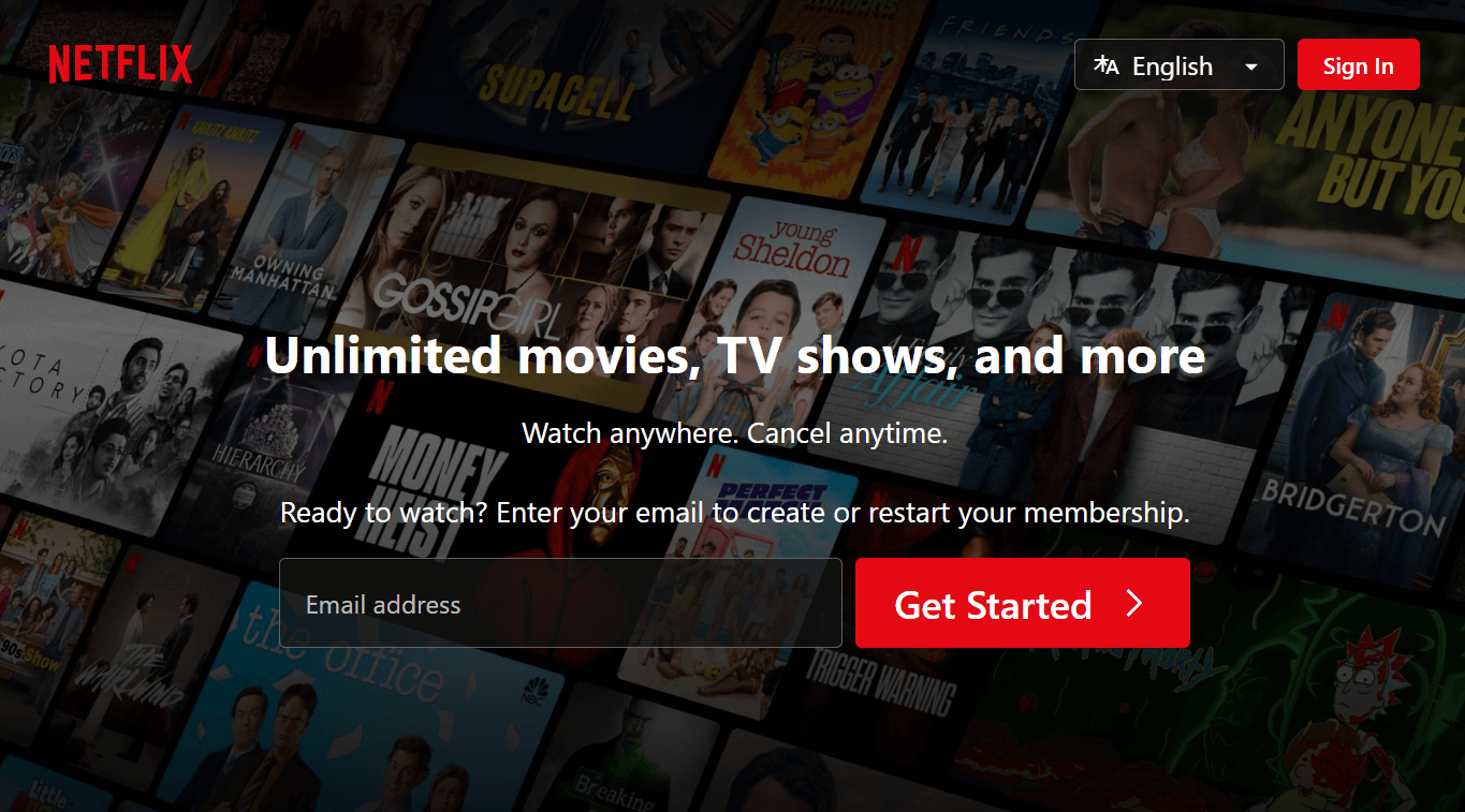 Netflix-landing-page-example