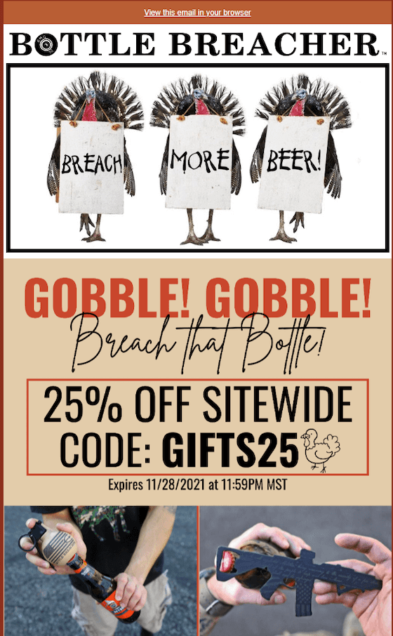 thanksgiving-weekend-sale-email-example