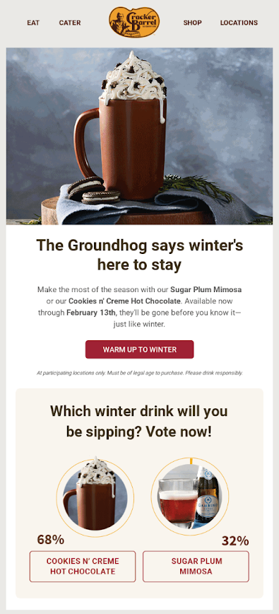 groundhog-day-email-newsletter-example