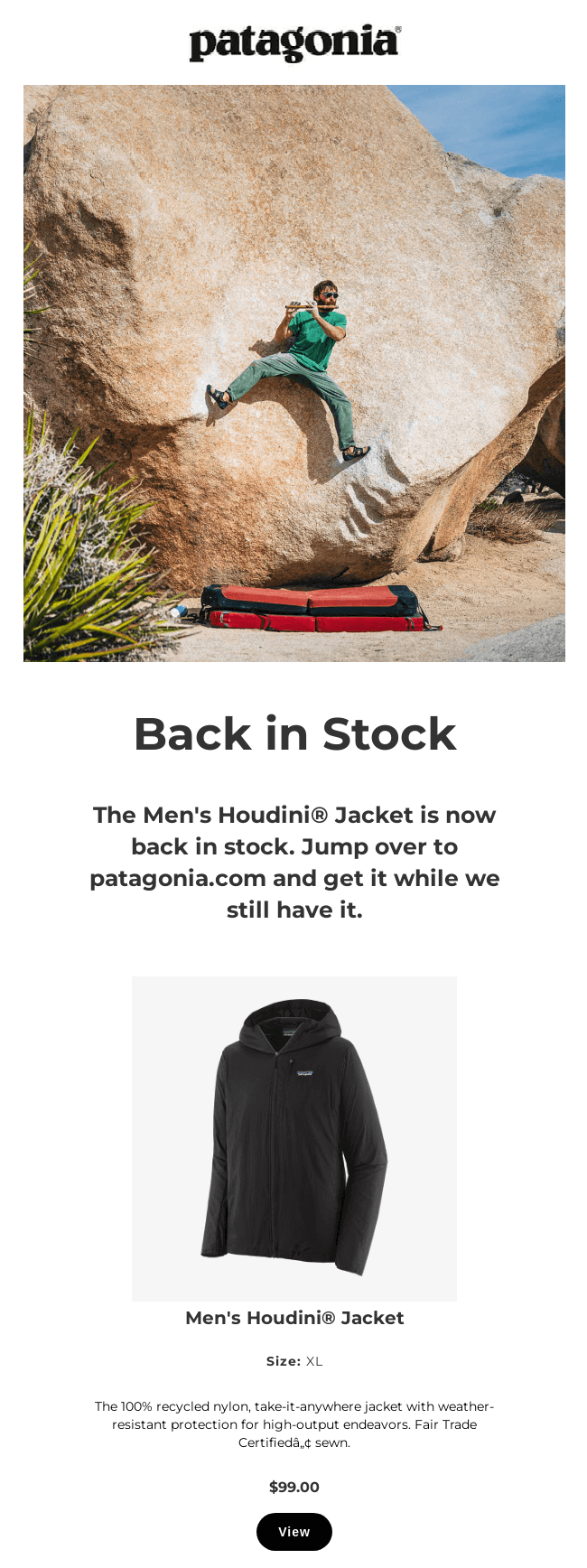 Patagonia_back_in_stock_email_example